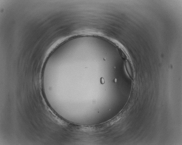 X0000082681191200702091624