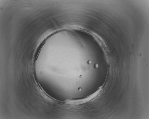 X0000082681192200702091624