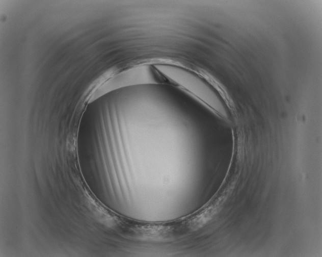 X0000082681193200702091624