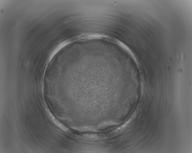 X0000082681194200702091624