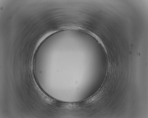 X0000082681195200702091624