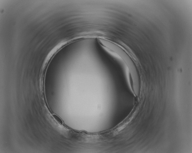 X0000082681196200702091624