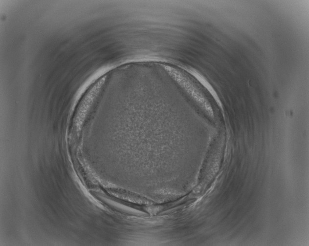 X0000082681197200702091624