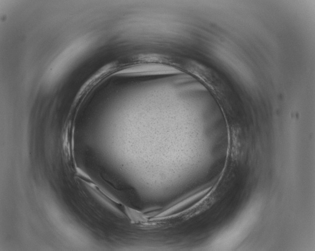 X0000082681198200702091624