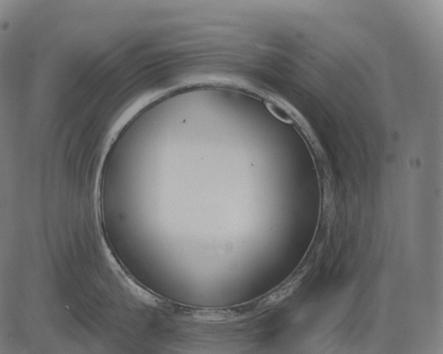 X0000082681199200702091624