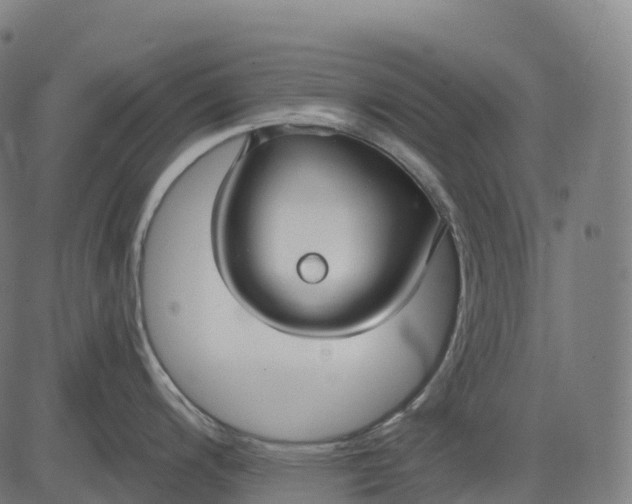 X0000082681200200702091624