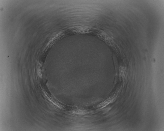 X0000082681202200702091624