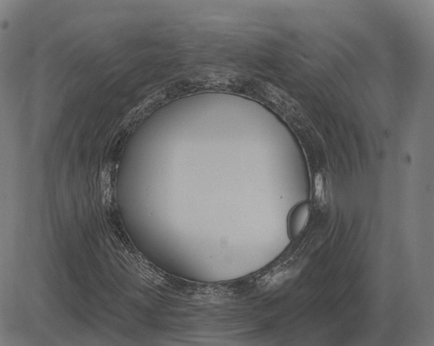 X0000082681203200702091624