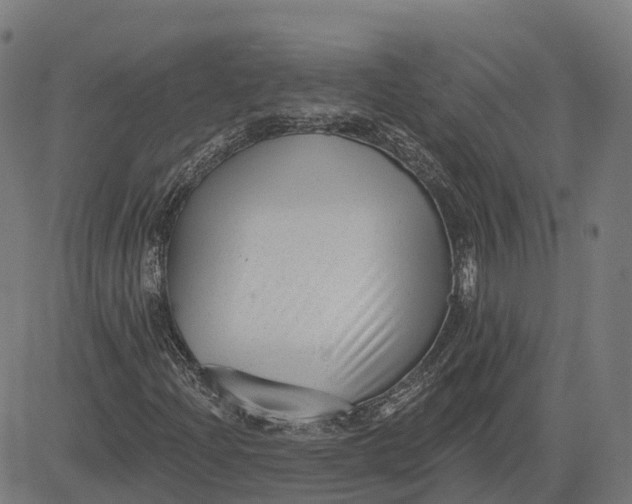 X0000082681204200702091624