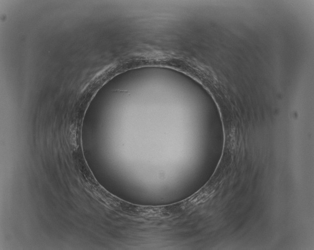 X0000082681205200702091624