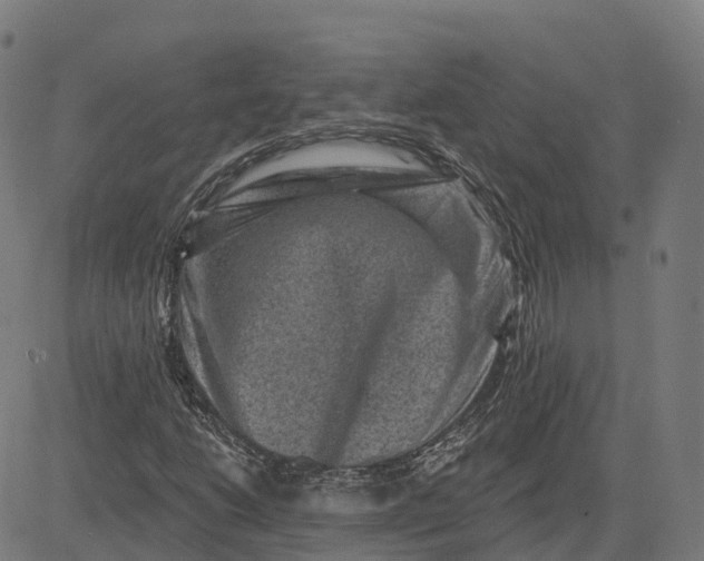 X0000082681206200702091624