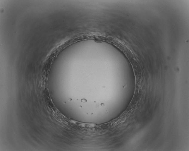 X0000082681207200702091624