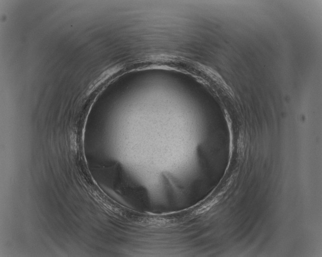 X0000082681209200702091624