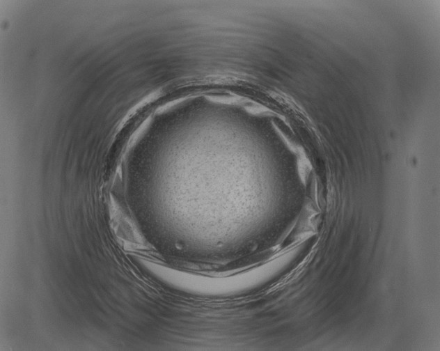 X0000082681210200702091624