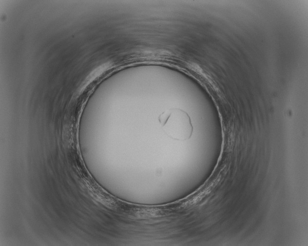 X0000082681211200702091624