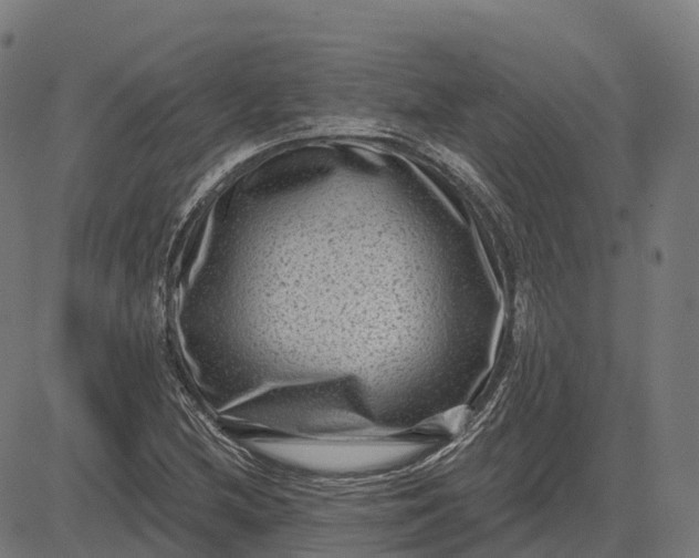 X0000082681212200702091624