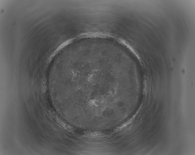 X0000082681213200702091624