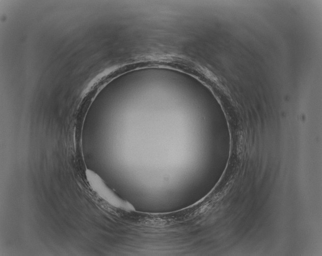 X0000082681214200702091624