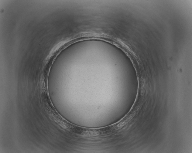 X0000082681215200702091624