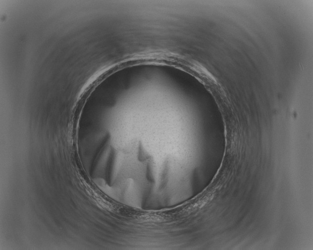 X0000082681216200702091624