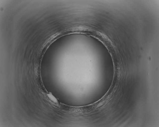 X0000082681217200702091624