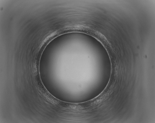 X0000082681218200702091624