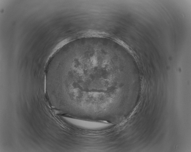 X0000082681219200702091624