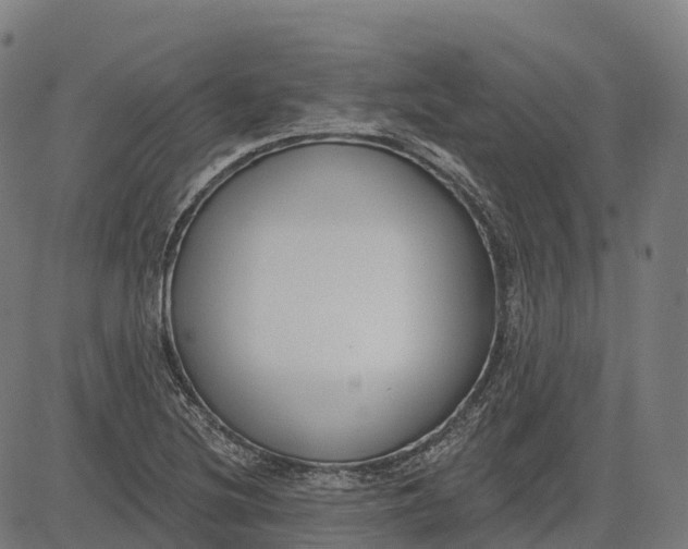 X0000082681220200702091624