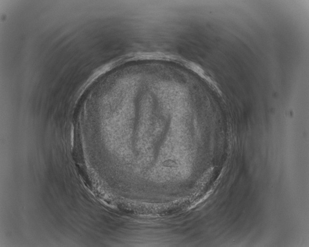 X0000082681221200702091624