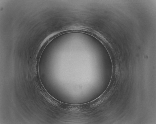 X0000082681222200702091624