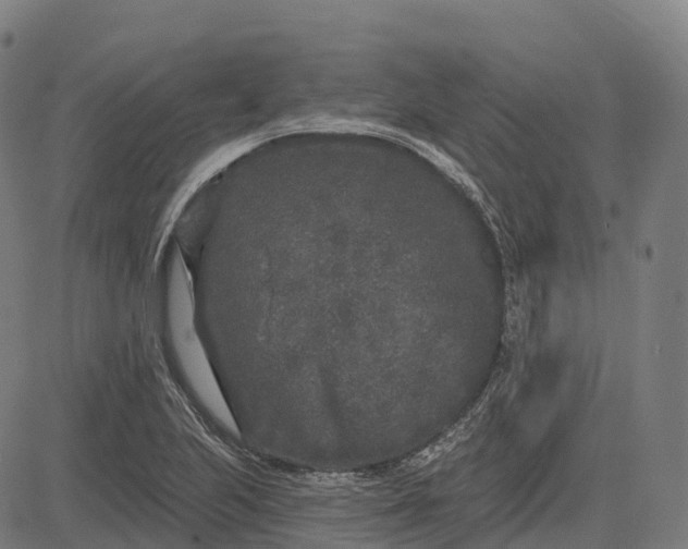 X0000082681223200702091624