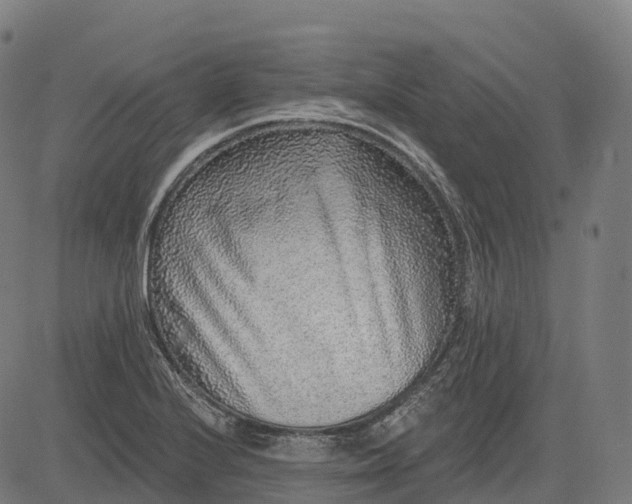 X0000082681224200702091624