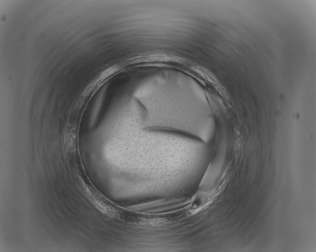 X0000082681225200702091624