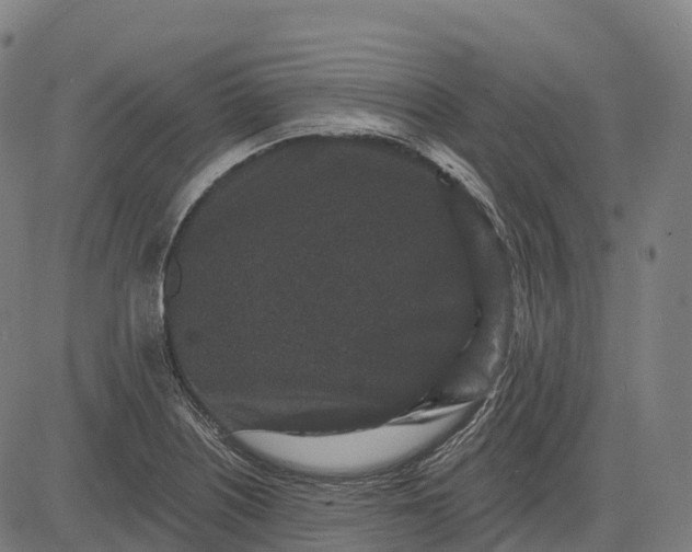 X0000082681226200702091624