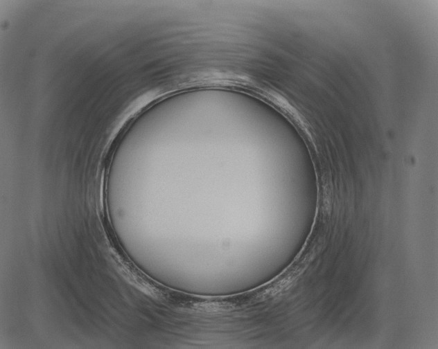 X0000082681227200702091624