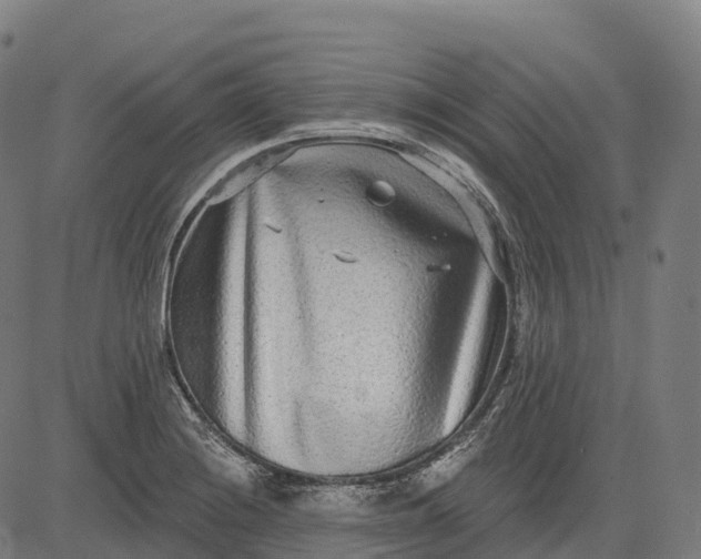 X0000082681228200702091624