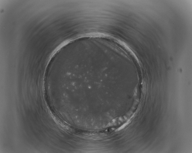 X0000082681229200702091624