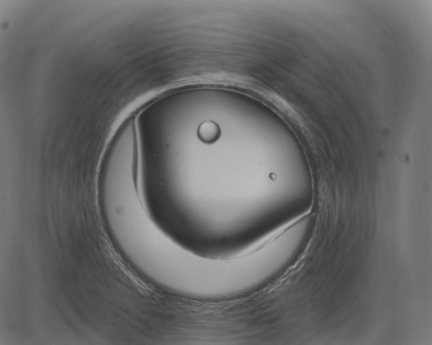 X0000082681230200702091624