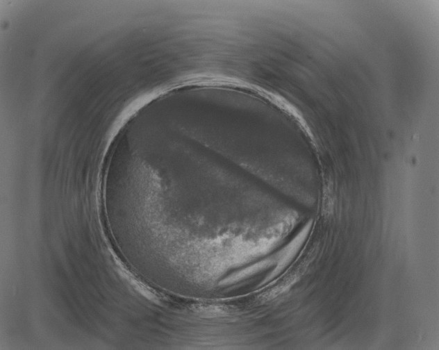 X0000082681231200702091624