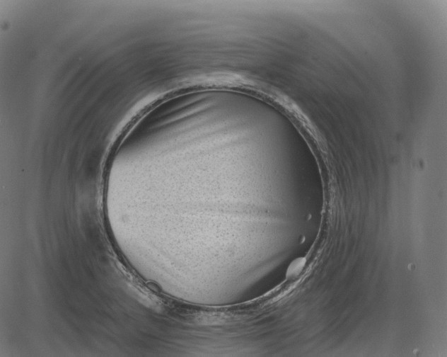 X0000082681232200702091624