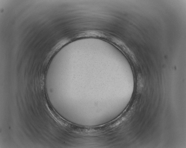 X0000082681233200702091624