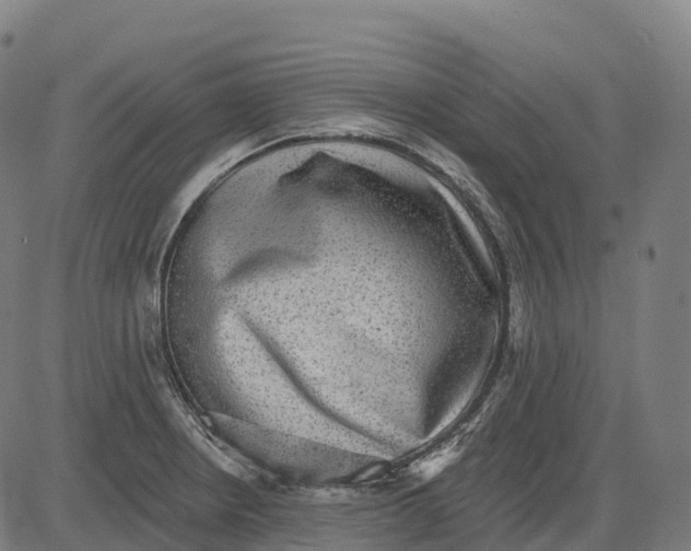 X0000082681234200702091624