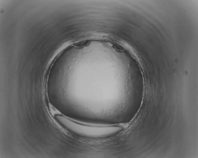 X0000082681235200702091624