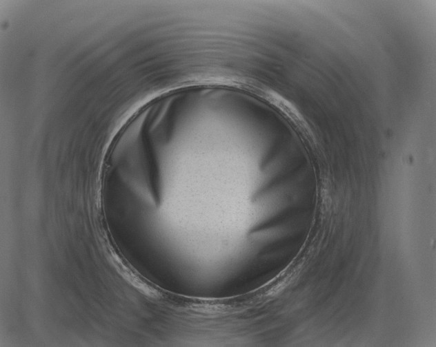 X0000082681236200702091624