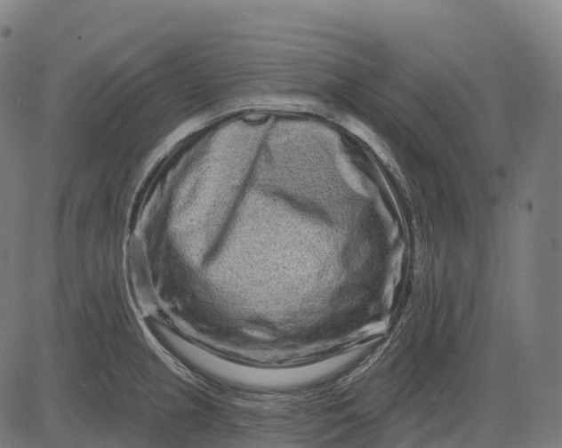 X0000082681237200702091624