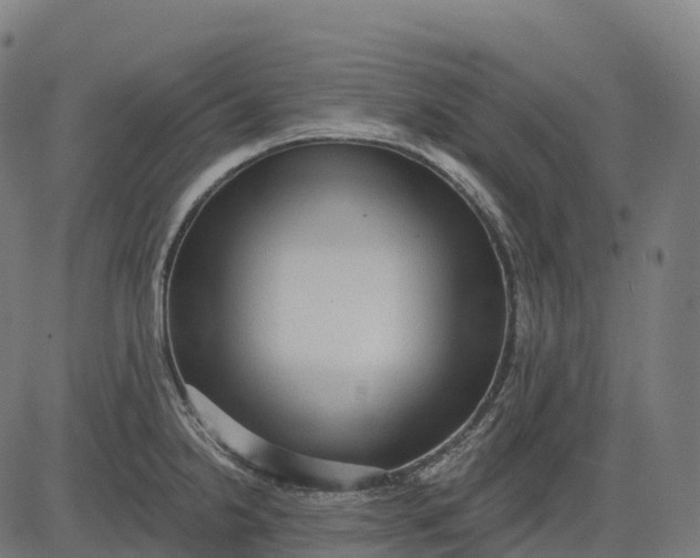 X0000082681238200702091624