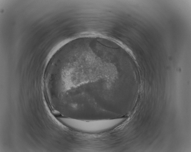 X0000082681239200702091624