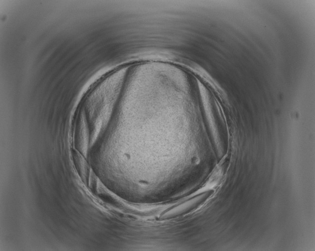 X0000082681240200702091624