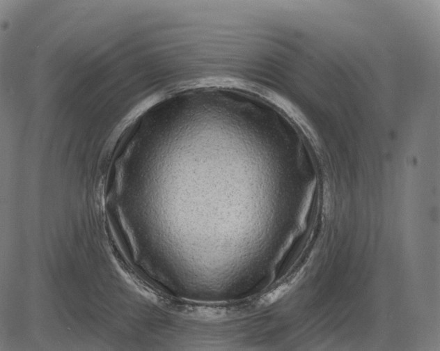 X0000082681241200702091624