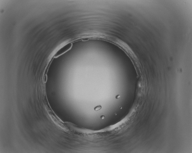 X0000082681242200702091624